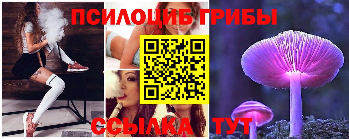 Галлюциногенные грибы Psilocybine cubensis  Галлюциногенные грибы Psilocybe  Вход с VPN  Кострома 